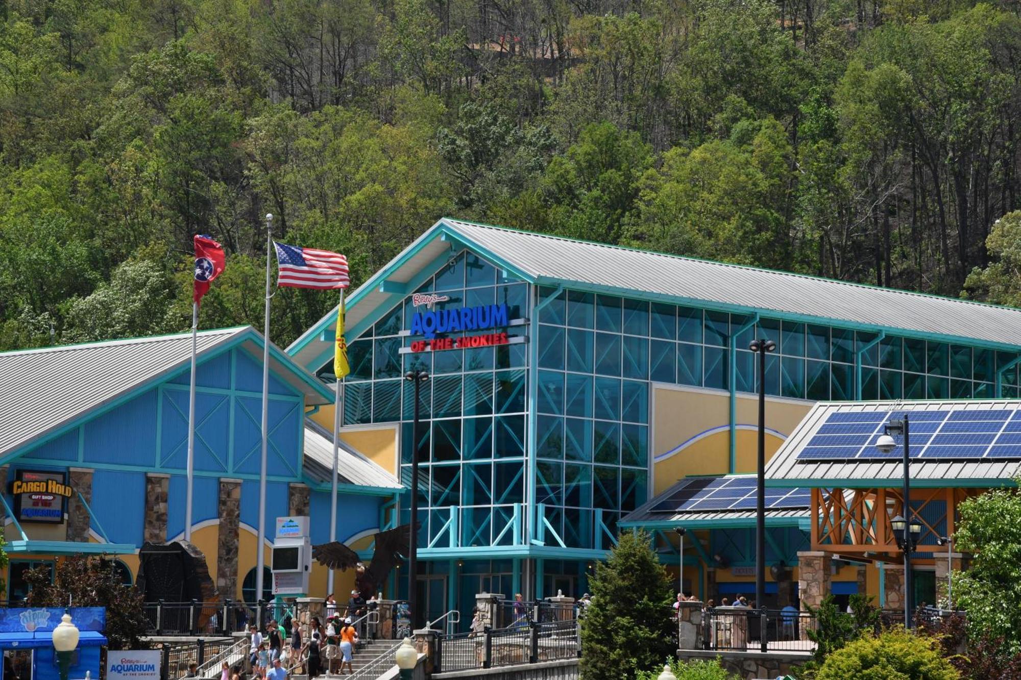 Wild Thing #1525 Villa Gatlinburg Bagian luar foto